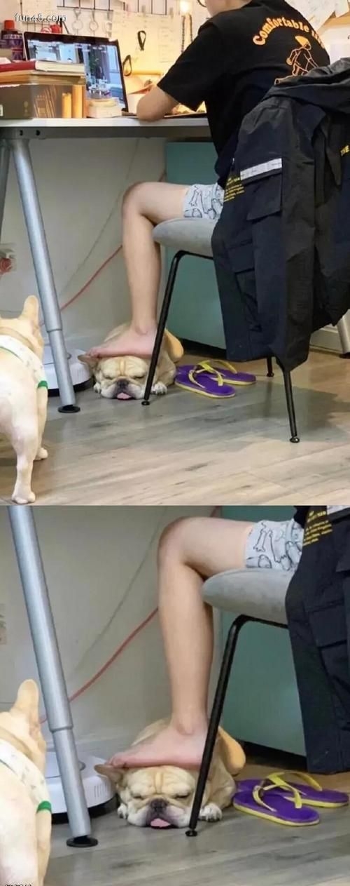 ùĹŵ?