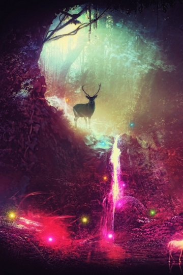 <b>ľ¹Ψֽ</b>