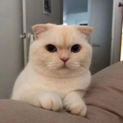 ɫȳè䳬ɰĶͷȫ