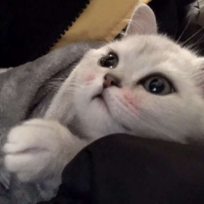 ɫȳè䳬ɰĶͷȫ