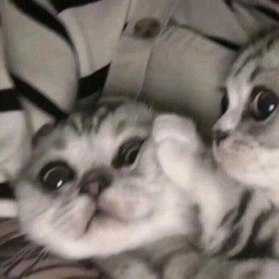 ɫȳè䳬ɰĶͷȫ