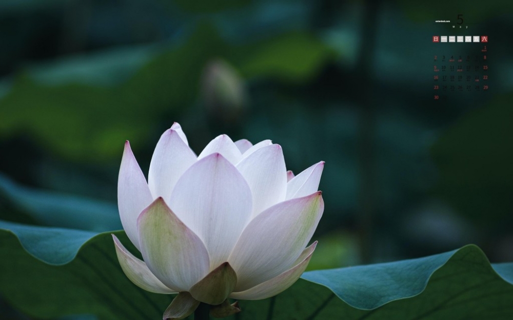 覵ĺɻΨ羰ֽ