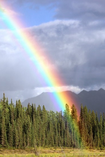 <b>ȻϵĲʺȻ羰Ψֽ</b>