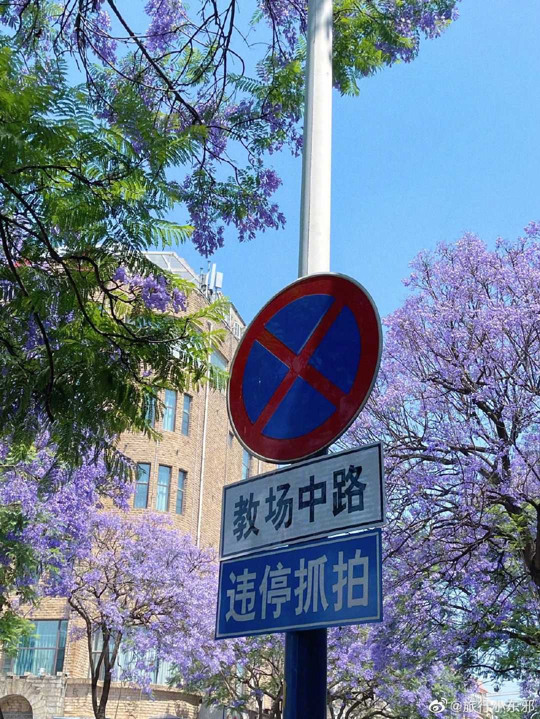 ĵɫ ɫλûͼƬ