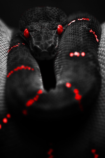 ߵͼƬ ɫƶ߸ͼ