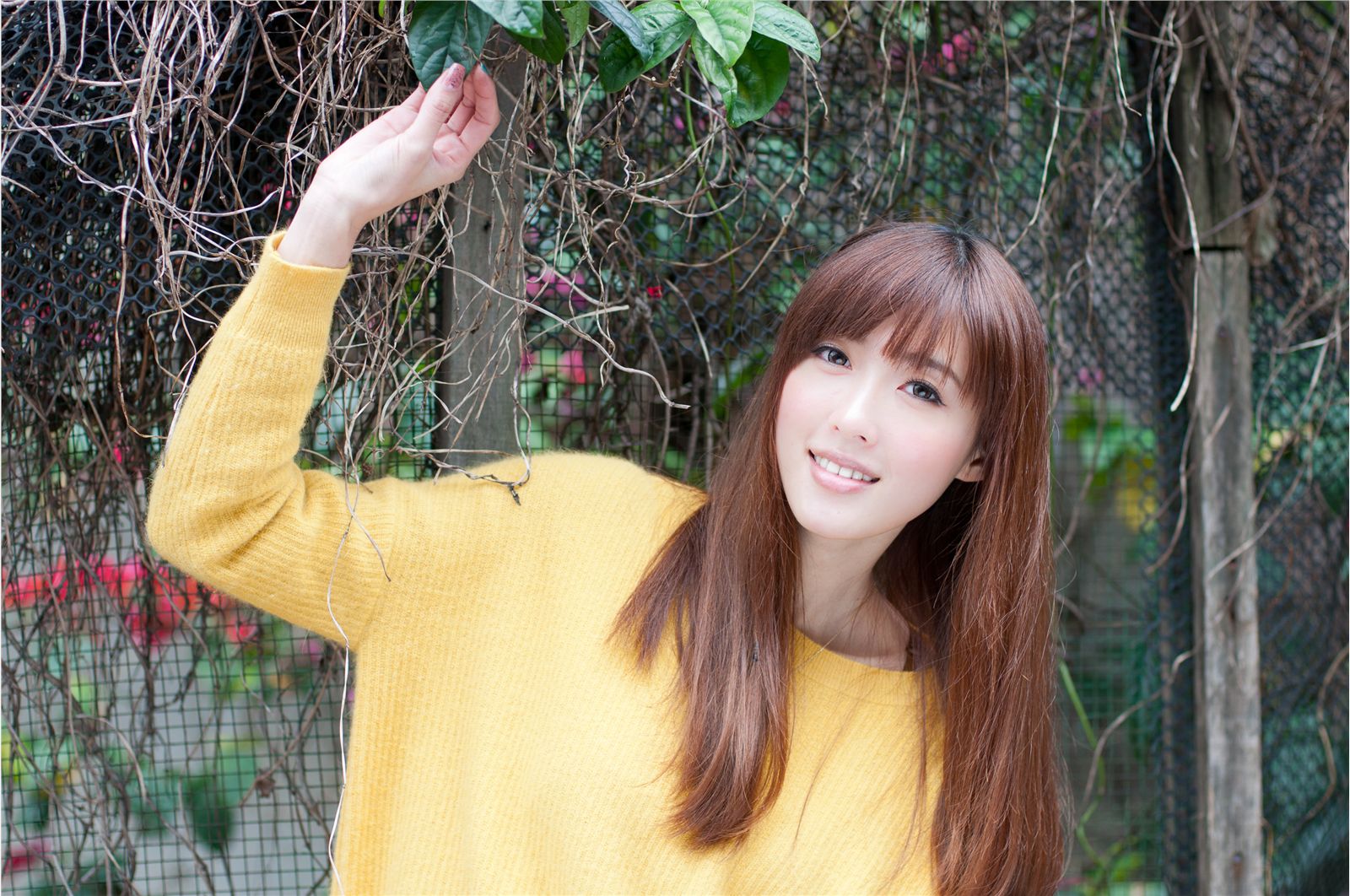 ̨��ɰ�Ů��Kila�������ս�����