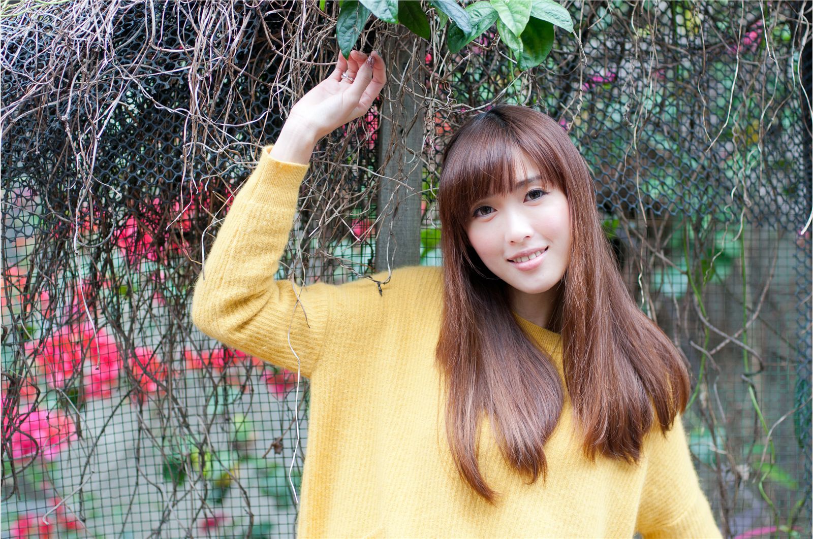 ̨��ɰ�Ů��Kila�������ս�����