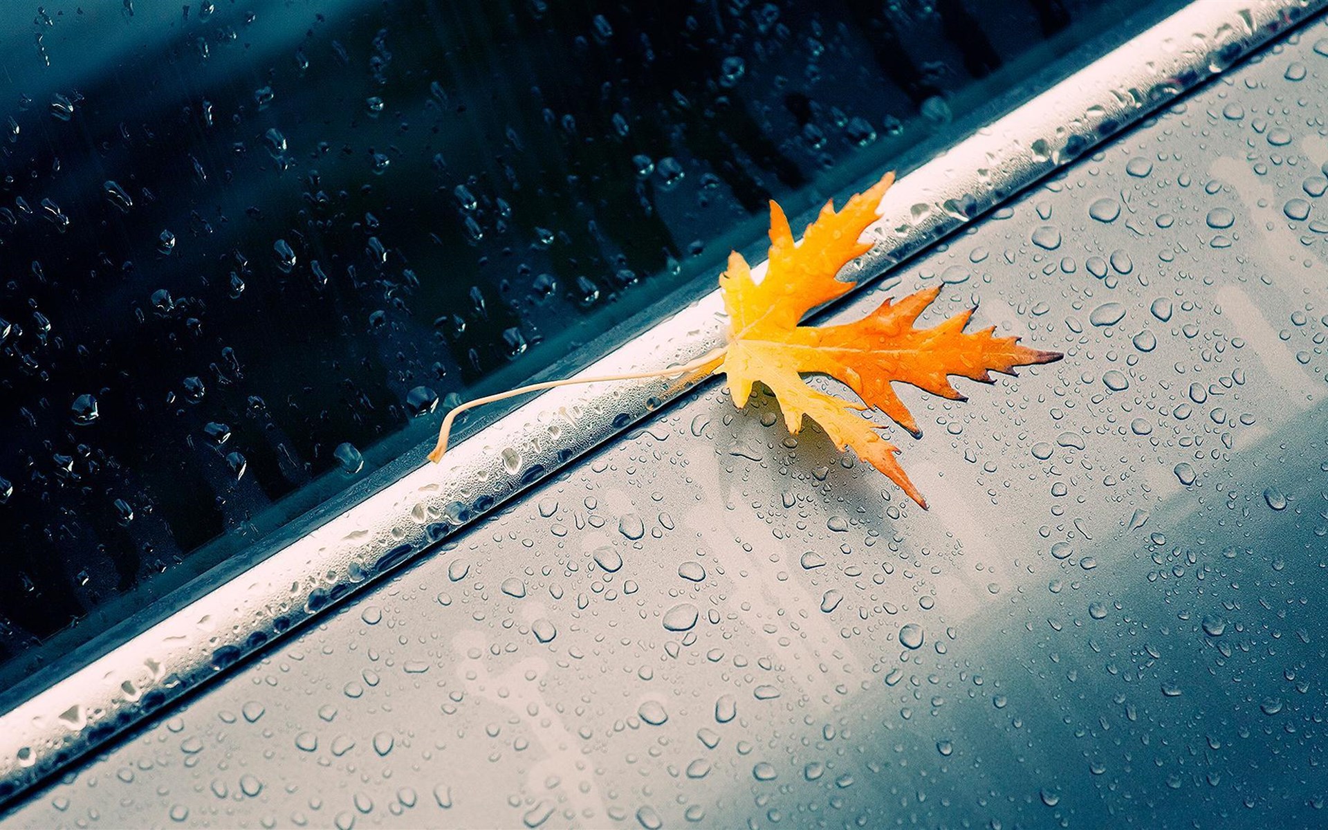 春天的雨景唯美意境壁纸 唯一图库