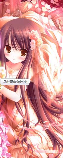 Projectӽͼ