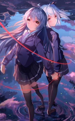 Projectӽͼ