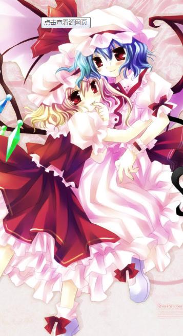 Projectӽͼ