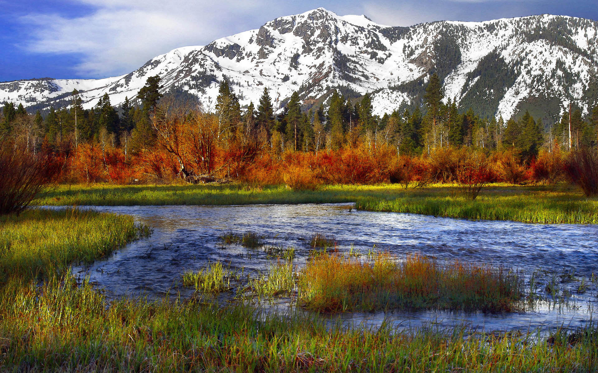 美国加利福尼亚州自然风景壁纸图片 唯一图库